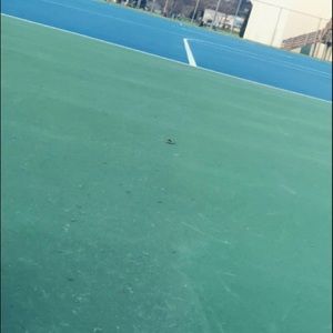 Meet your Posher, La kaku